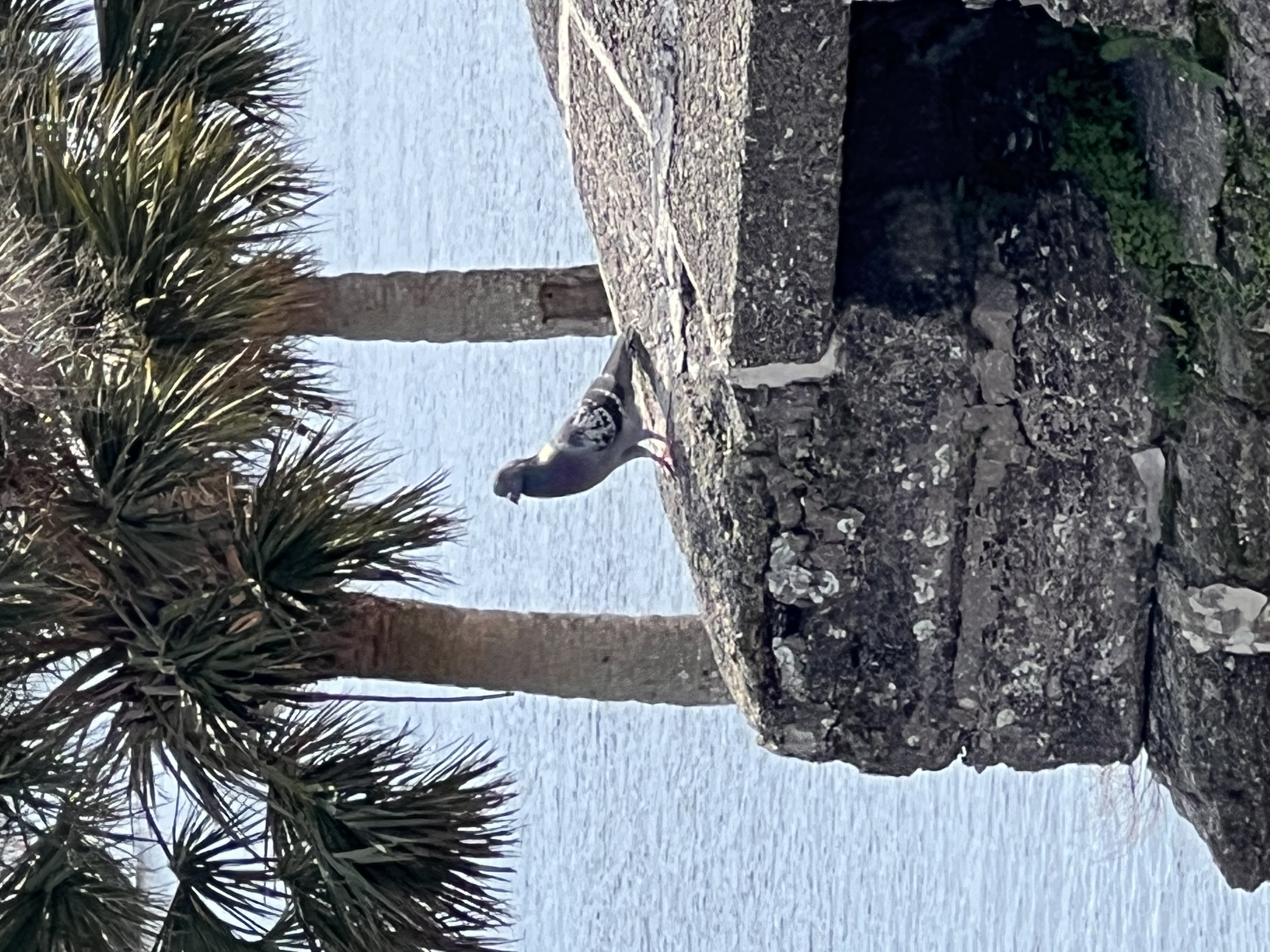 ./2022/13 - St Augustine/IMG_5644.JPG